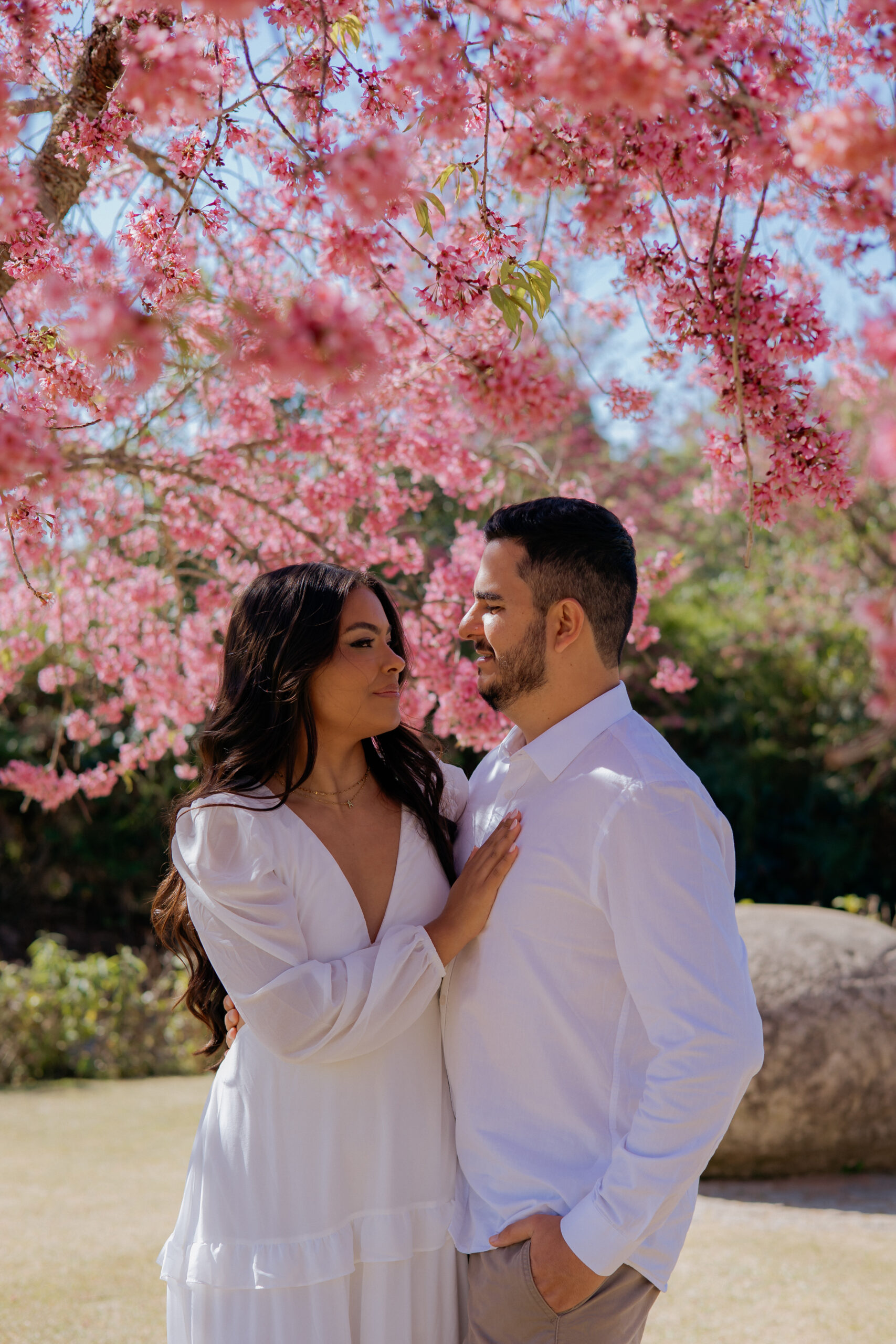 Casal sob as cerejeiras em flor